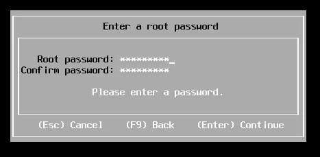 Root password for ESXi host