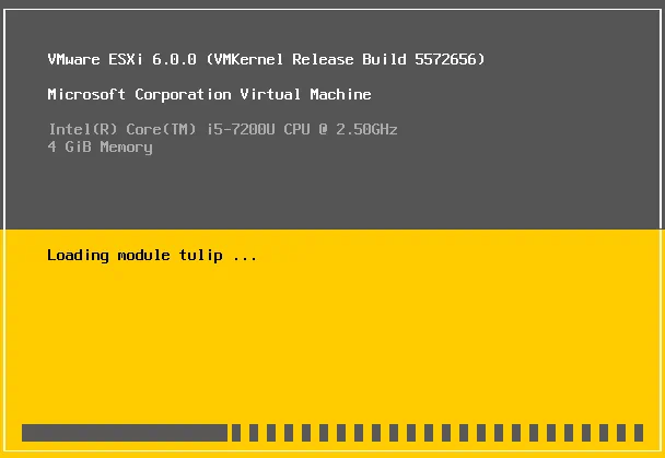 ESXi installer is loading the modules