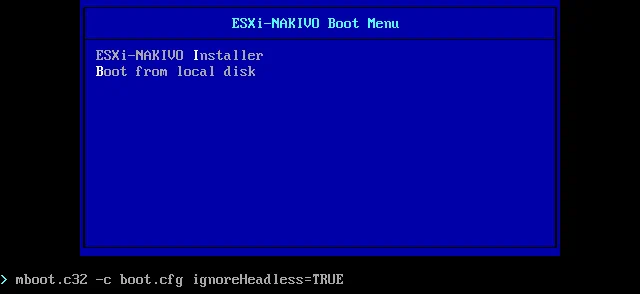 Setting boot options for ESXi 6.0 installer