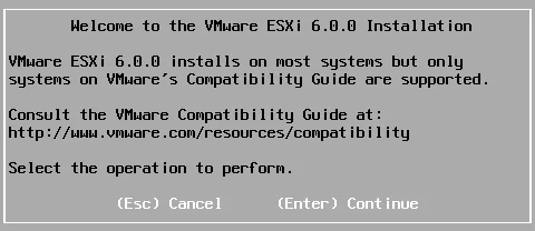 The welcome screen of the VMware ESXi installation