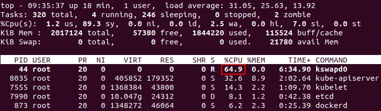 For preventing CPU overloading by kswapd0 process disable the swap partition before installing Kubernetes on Ubuntu.