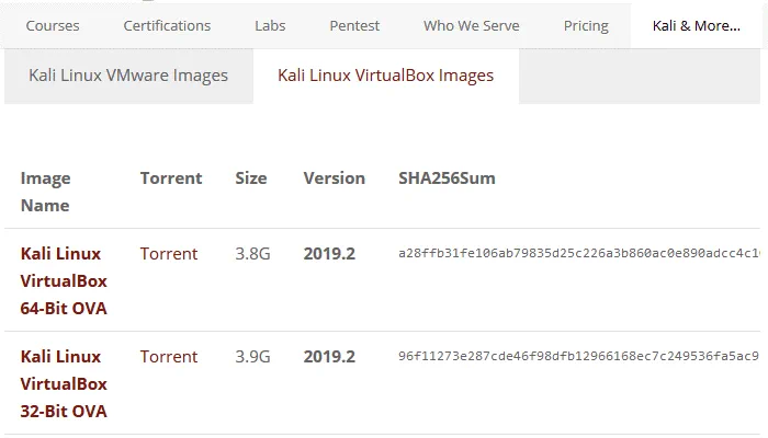 How to install Kali Linux on VirtualBox by using an OVA VM template