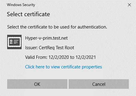 Solicitud de certificado SSL en un servidor Hyper-V principal