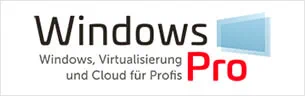 Windows Pro Logo
