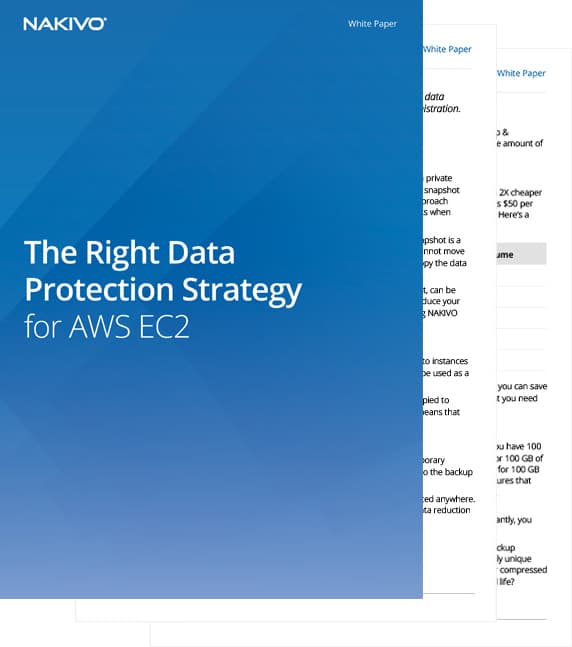 White Paper: The Right Data Protection Strategy for AWS EC2